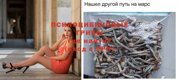 метадон Аркадак